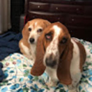 Meet your Posher, Leslie